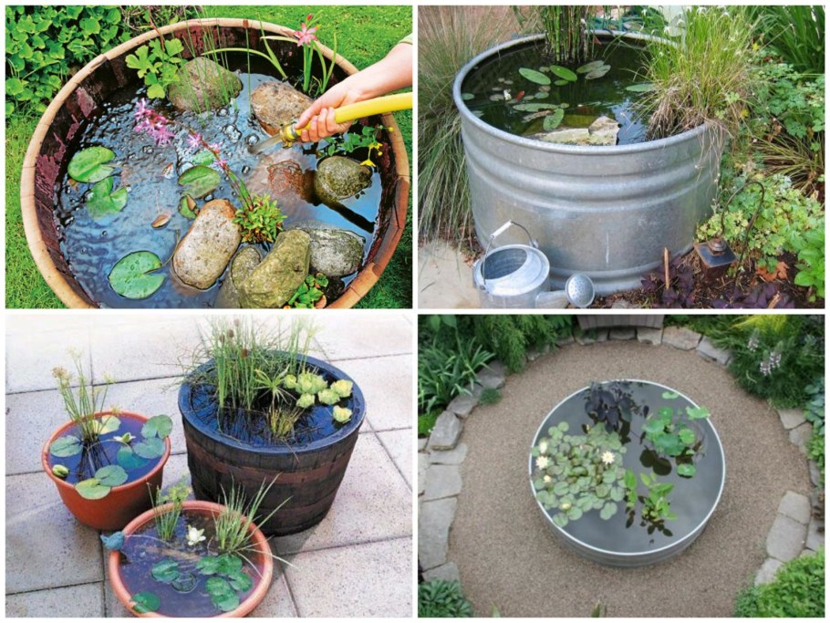 Прудик из тазика