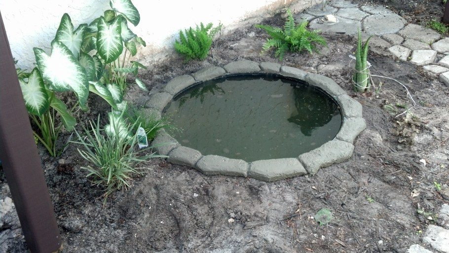 Декоративный прудик из бетона