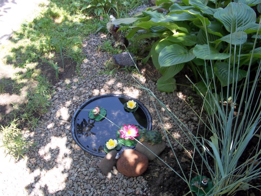 Мини водоем на даче из тазика