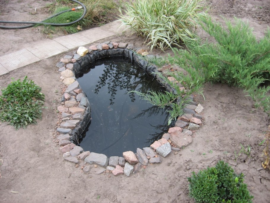 Маленький пруд на даче