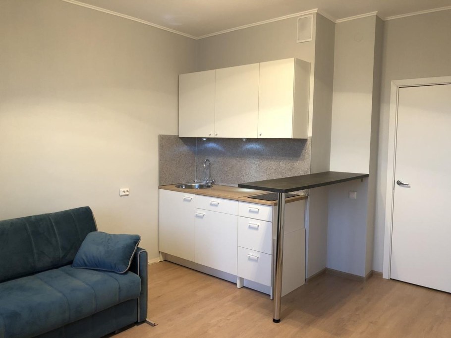 Кухни в студии 22 кв.м