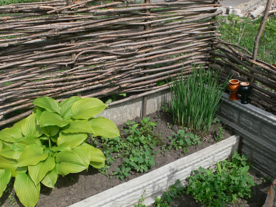 Хитрости для дачи