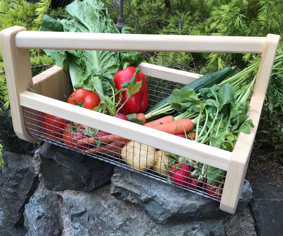 Самоделки для сада и огорода