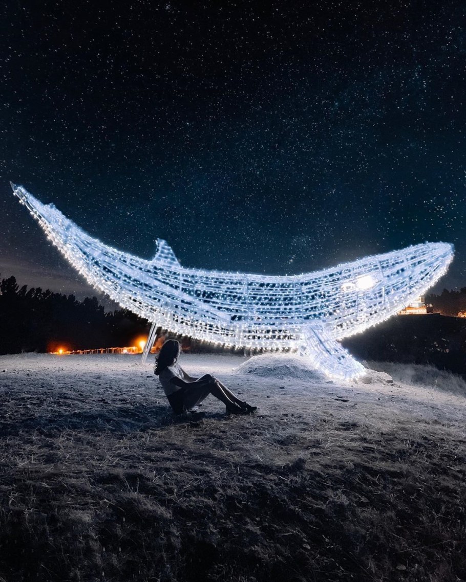 Таврида инсталляция