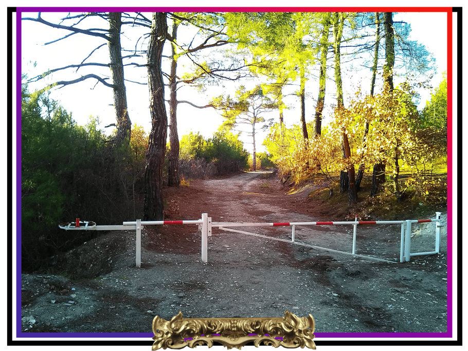 Резиденция Кирилла в Переделкино