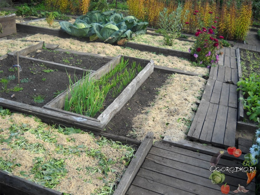 Грядки-клумбы мавританский дворик