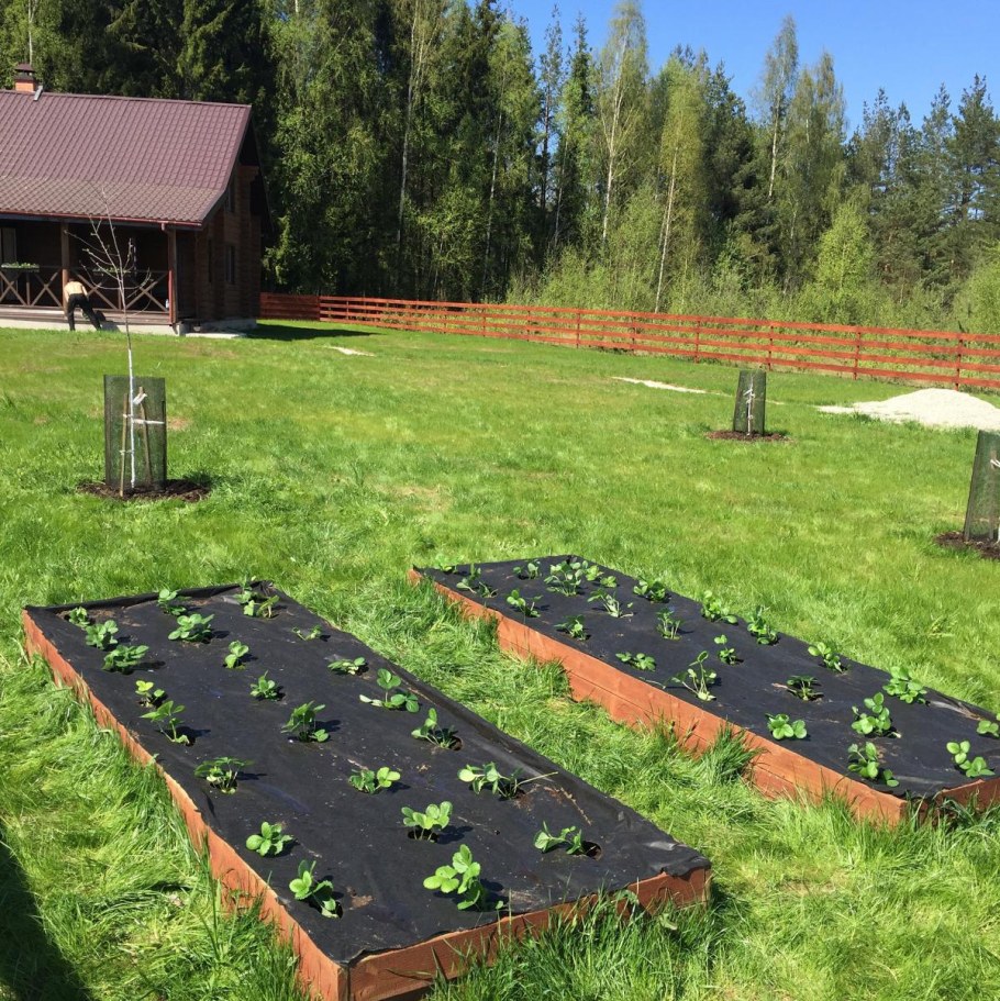 Бордюры для грядок из кирпича