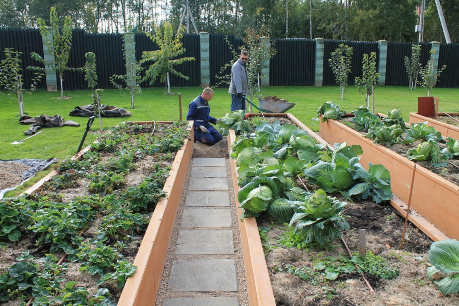 Грядки короба Рыкалина