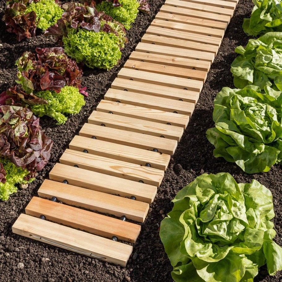 Дорожки в огороде