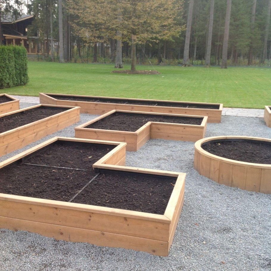 Газон в огороде