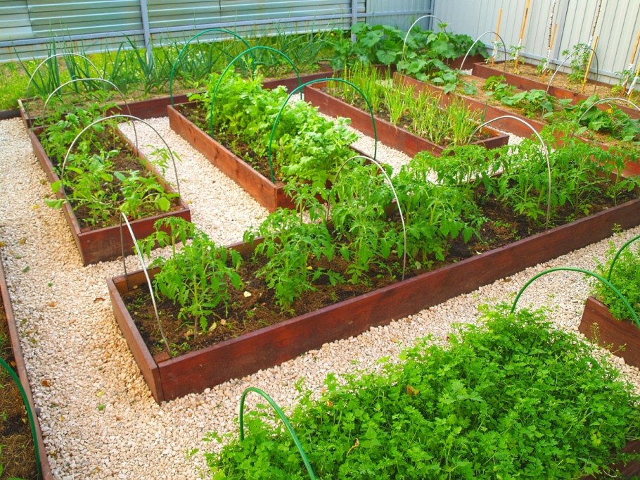 Планировка огорода