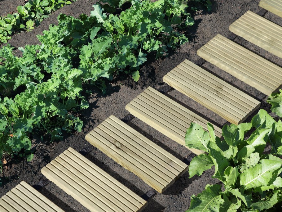 Красивые грядки