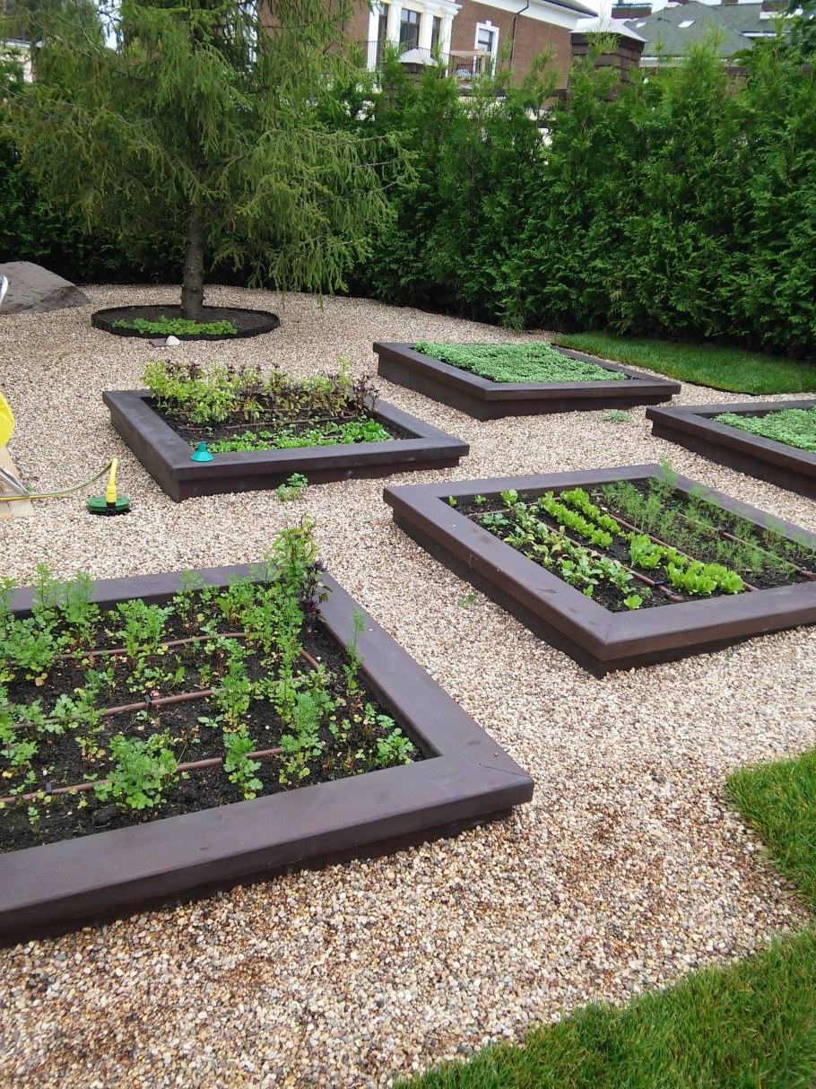 Дачные дорожки между грядками