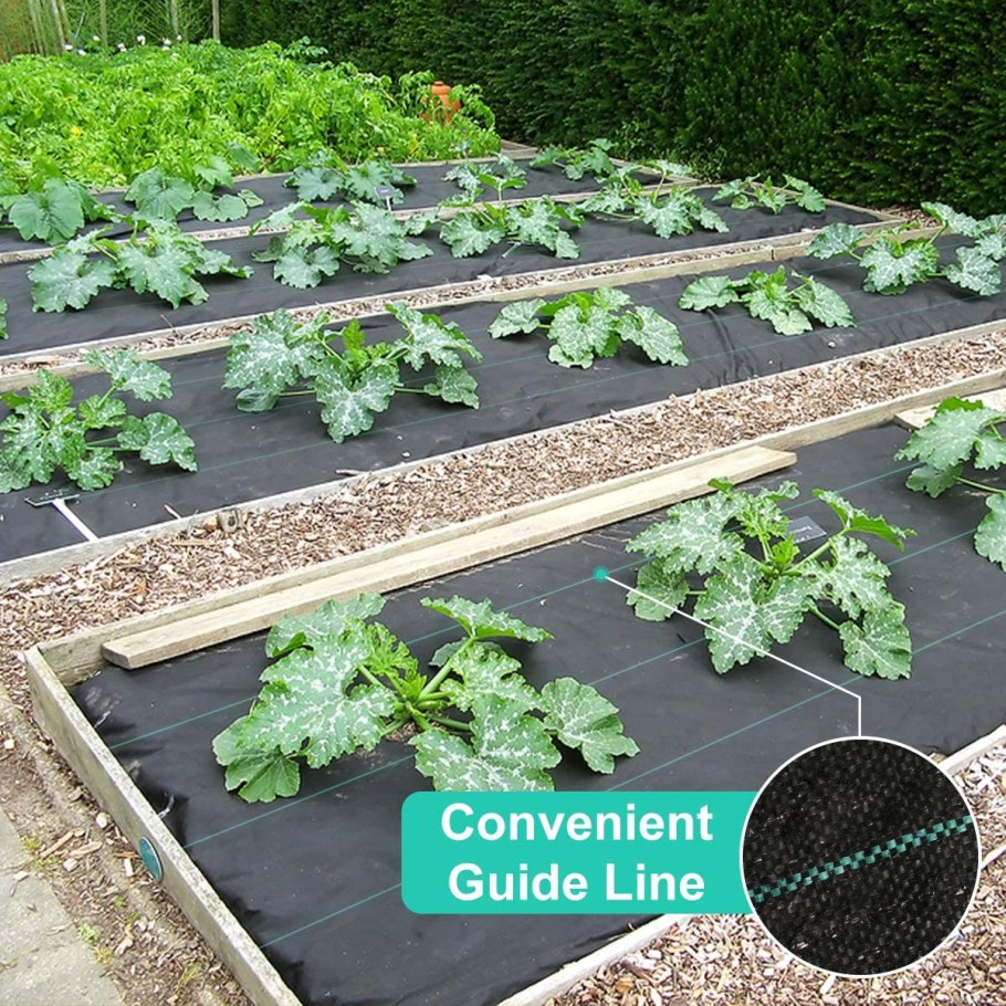 Дорожки в огороде