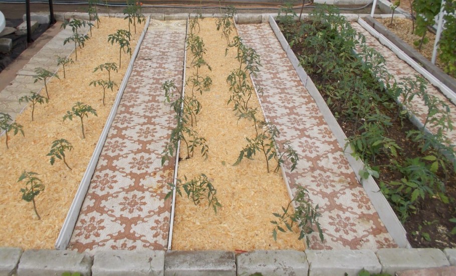 Дорожки в огороде