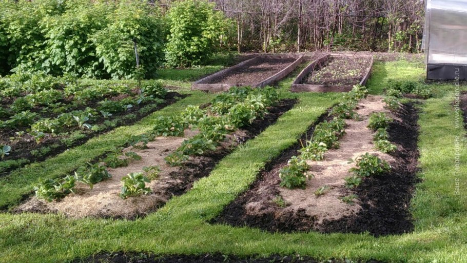 Плитка для огорода промеж грядок