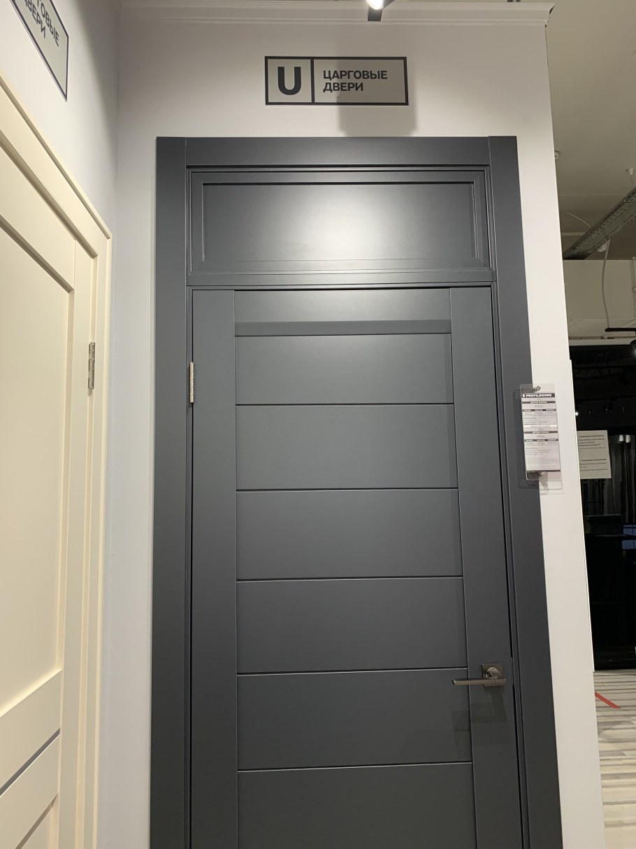 Двери с фрамугой в интерьере