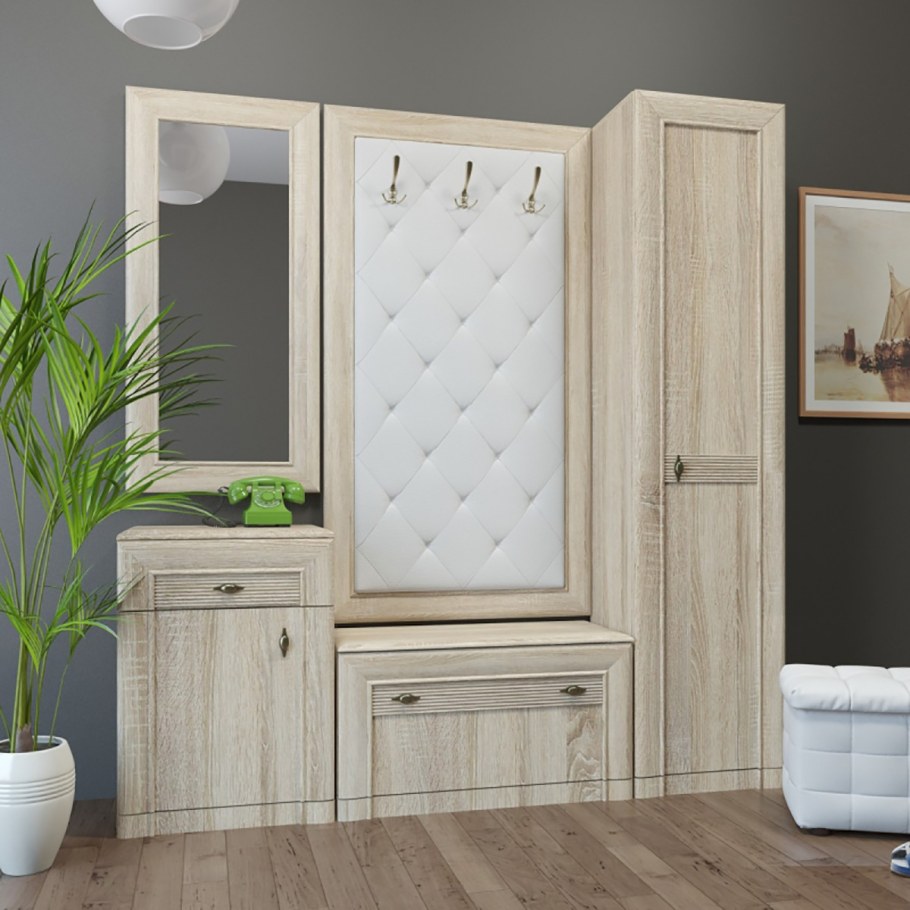 Прихожая визит-2 (РИИКМ)