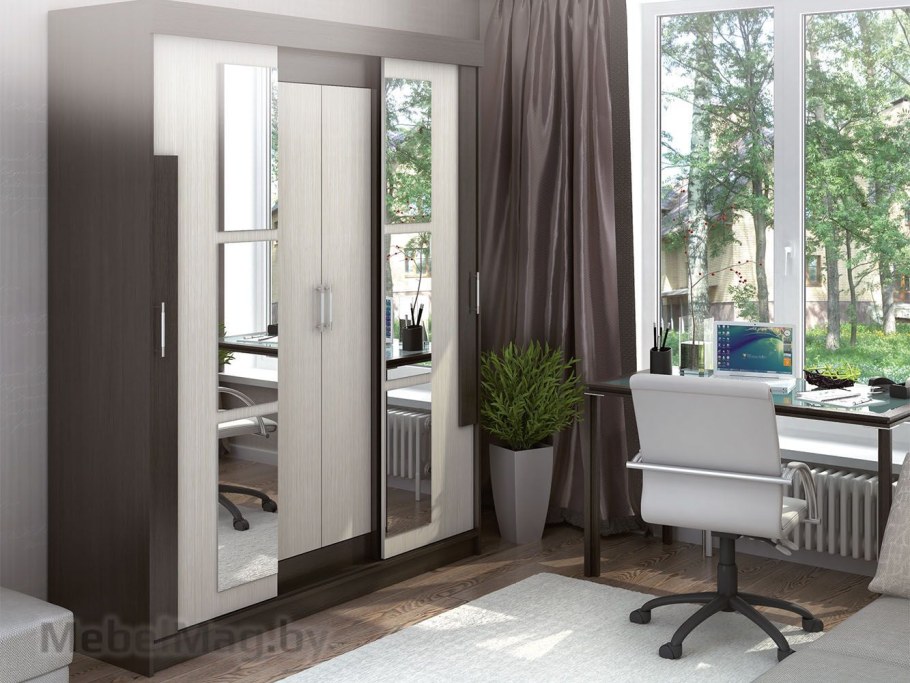 Шкаф-купе Фаворит Сурская мебель