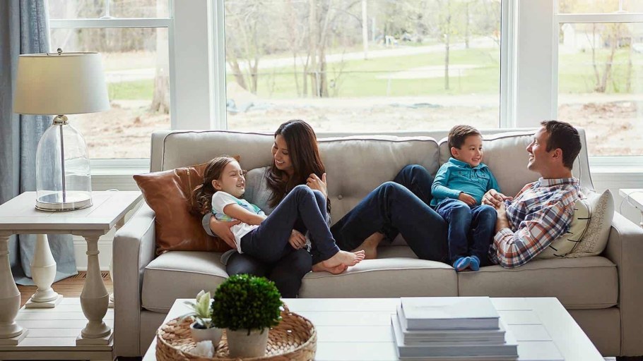 Диван в лесу