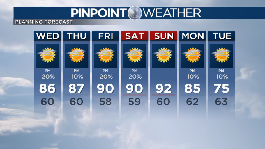 Девушка отдыхает на диване