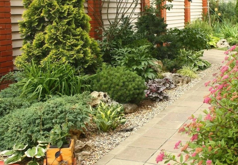 Миксбордер с туями