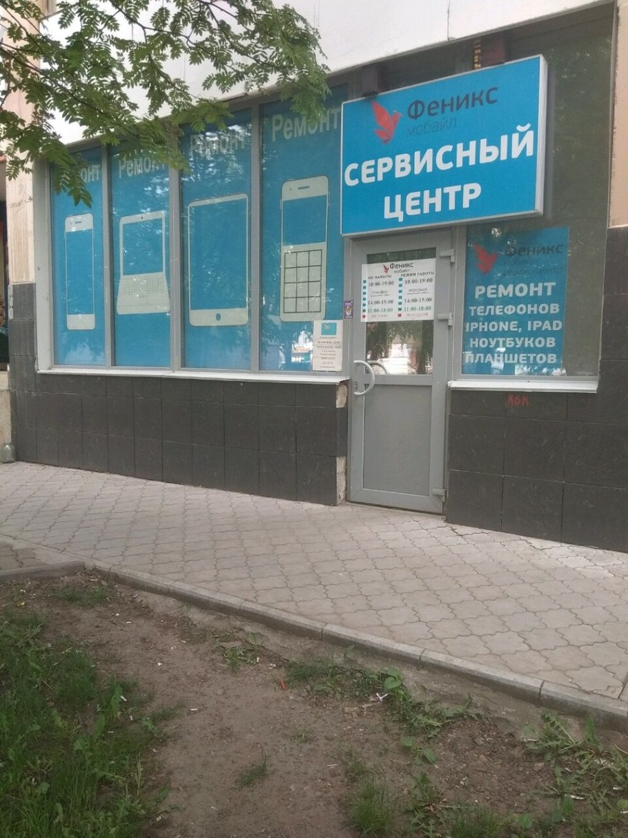 Феникс компания СПБ