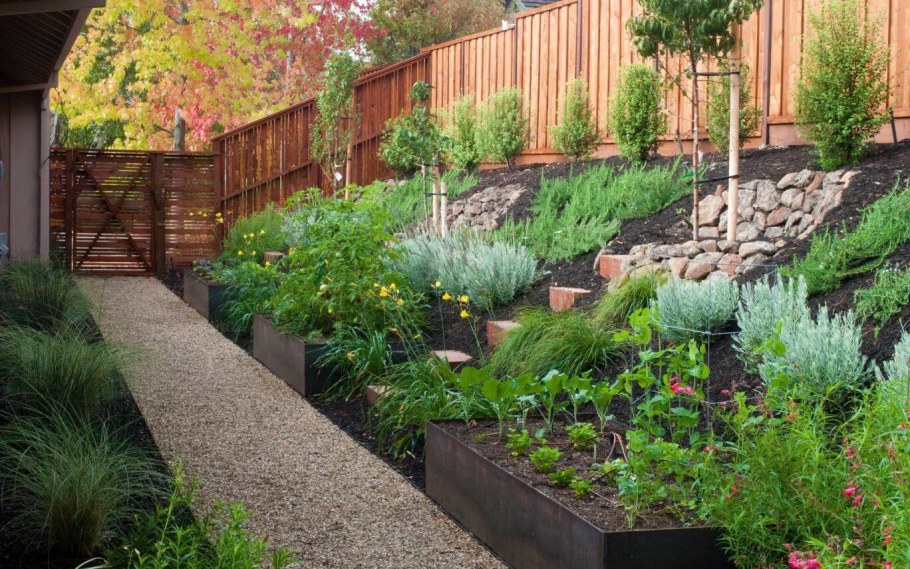 Дача 6 соток склон террасирование