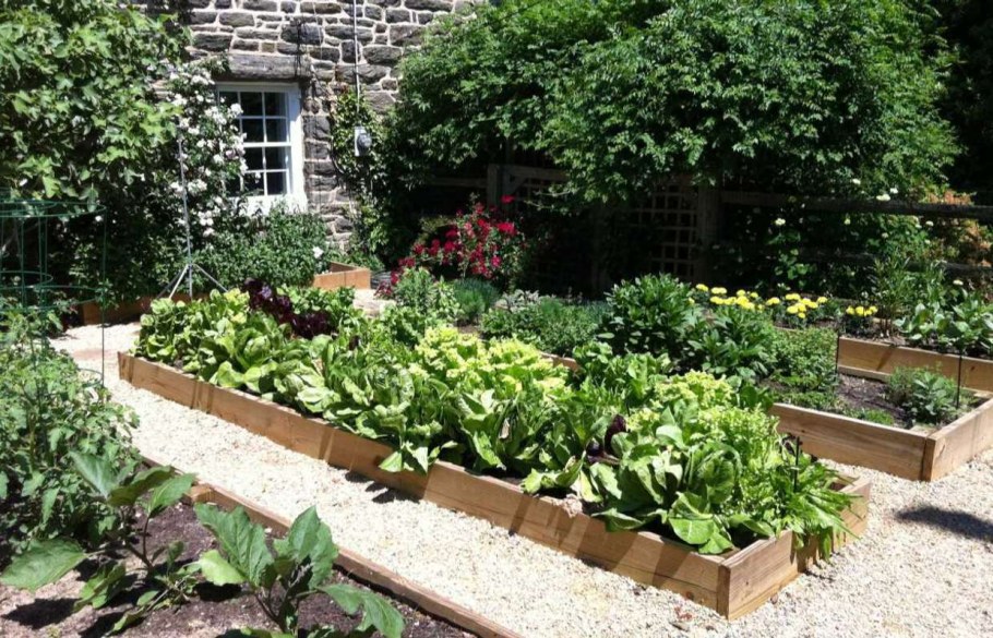 Цветник в огороде