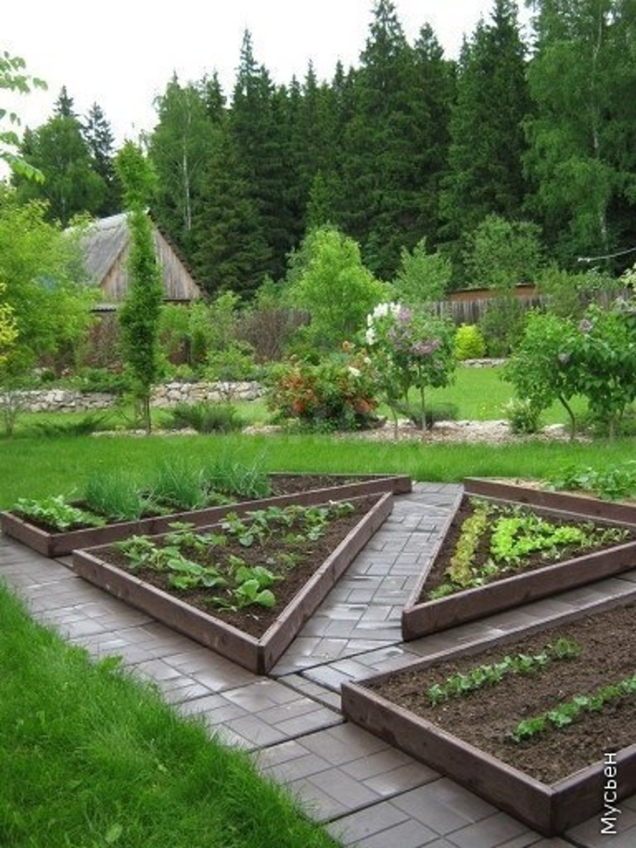 Французский огород Зоя Козичева