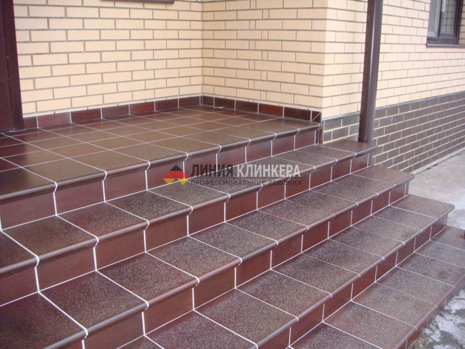 Входные ступеньки в дом