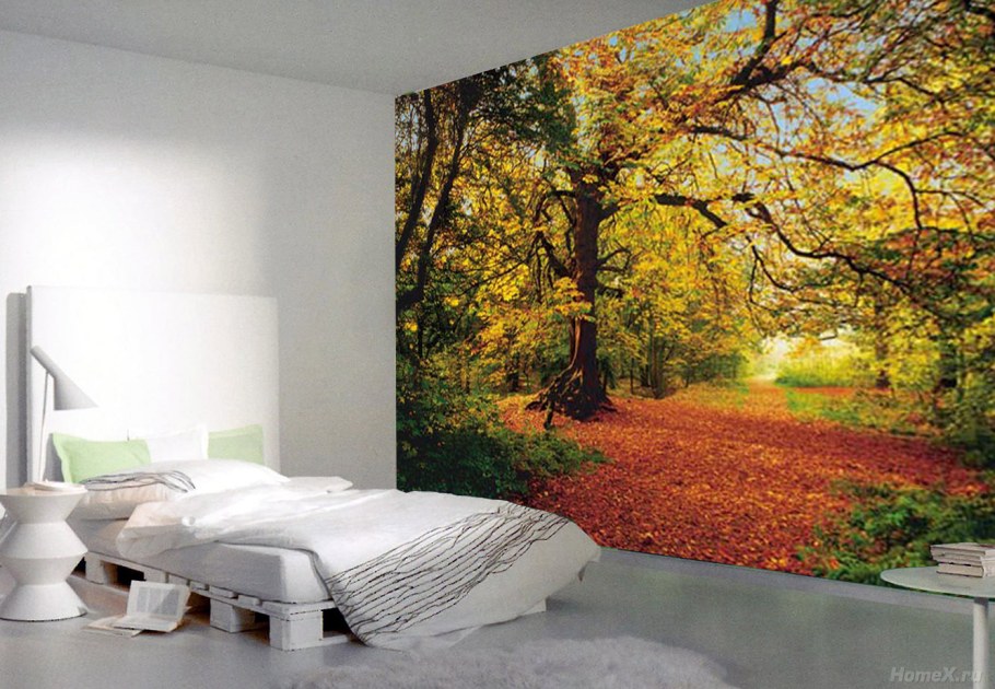 Осенние фотообои на стену