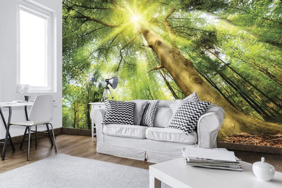 Водопад Wall Mural 3d