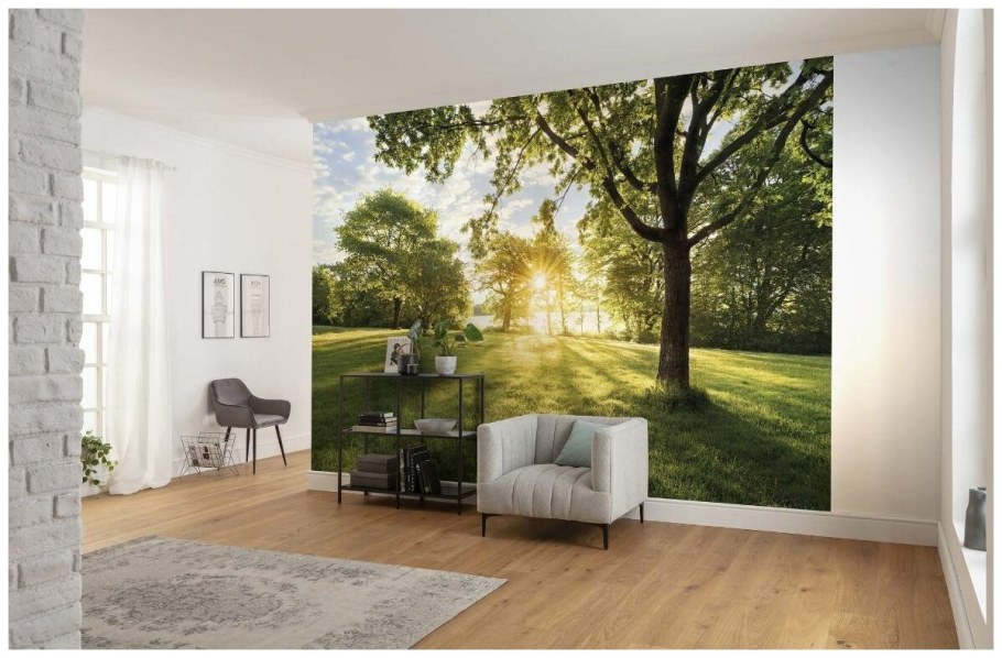 Фотообои бумажные