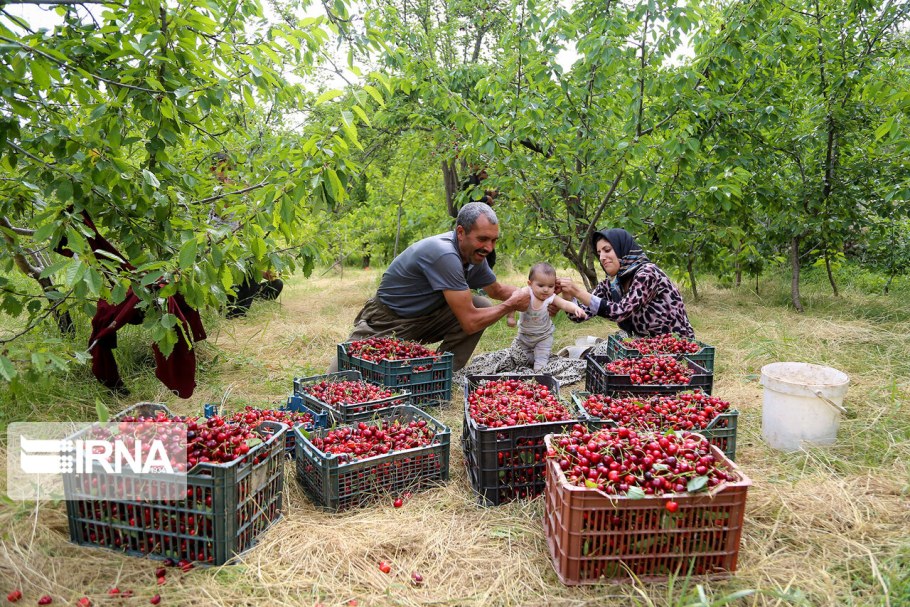Проект Узбекистане кишлаки дом