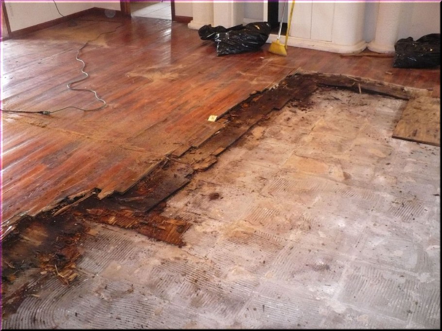 Полы в панельном доме на деревянных лагах