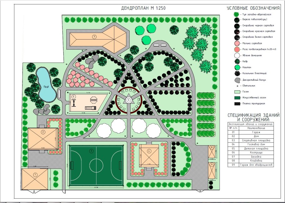 Дендроплан участка 20 соток
