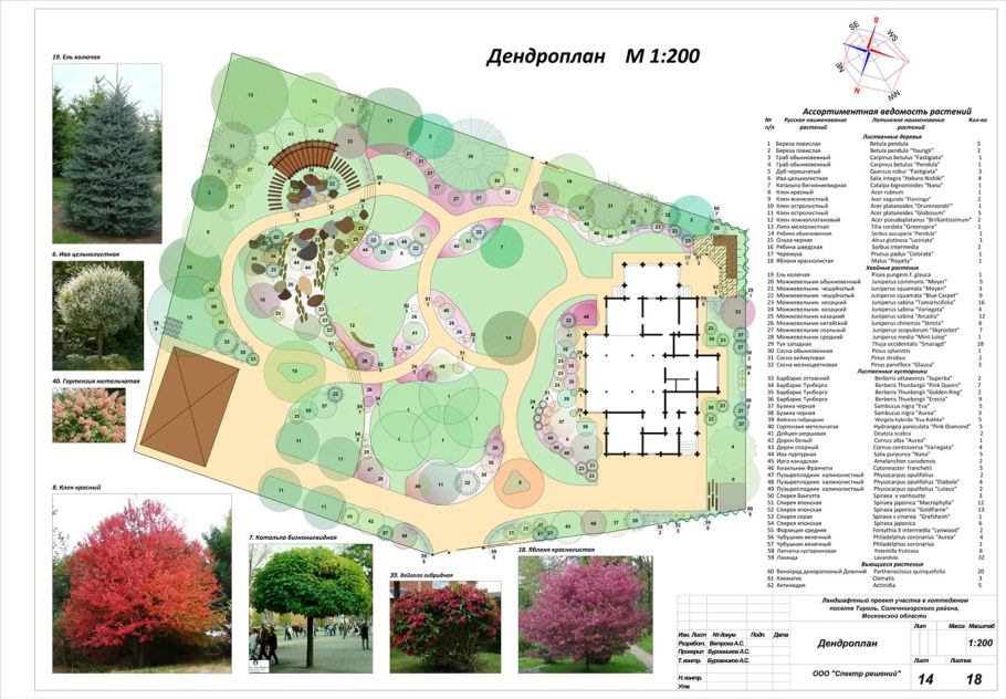 Ландшафтный проект дендрологический план