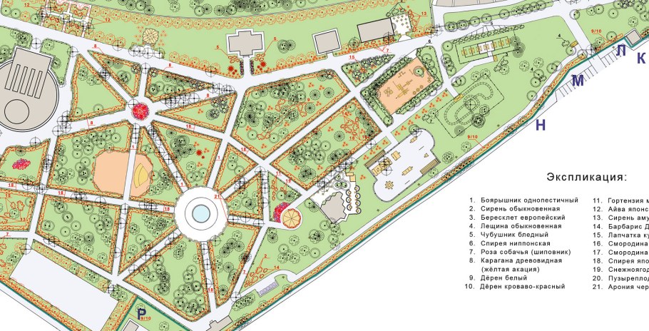 Планировка парка дендрологический проект