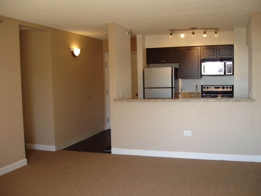 Кухня-гостиная 20 кв.м евродвушка