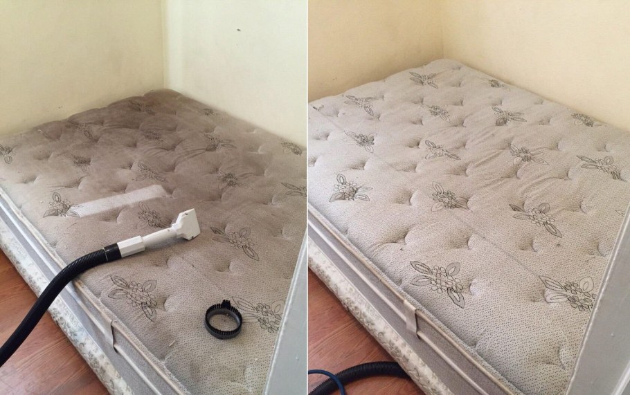 Химчистка стульев до и после