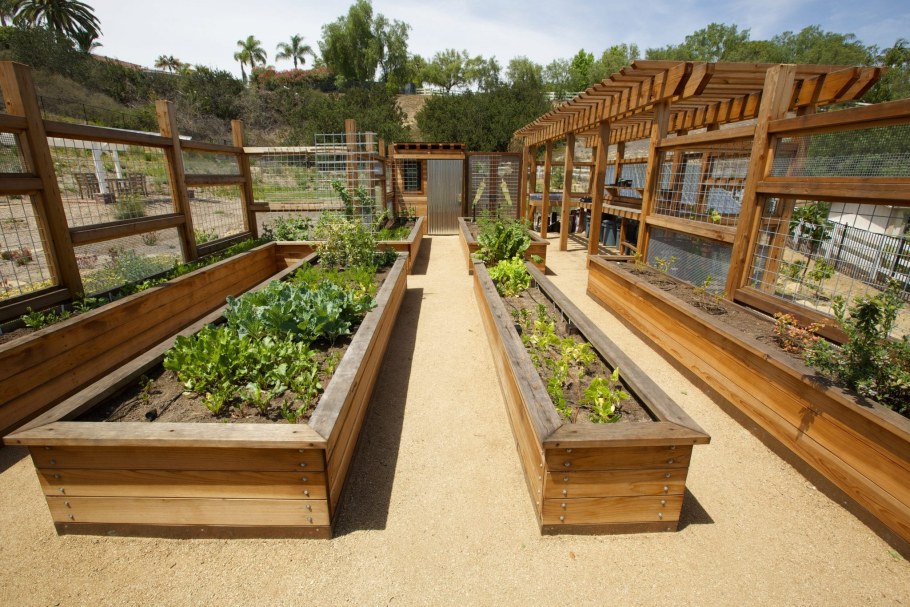 Красивые грядки