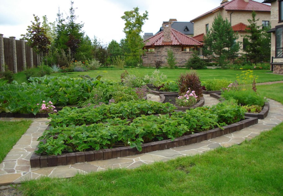 Аптекарский огород на высоких грядках