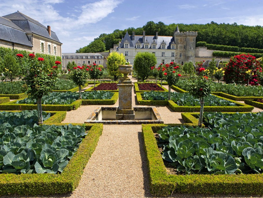 Красивые грядки