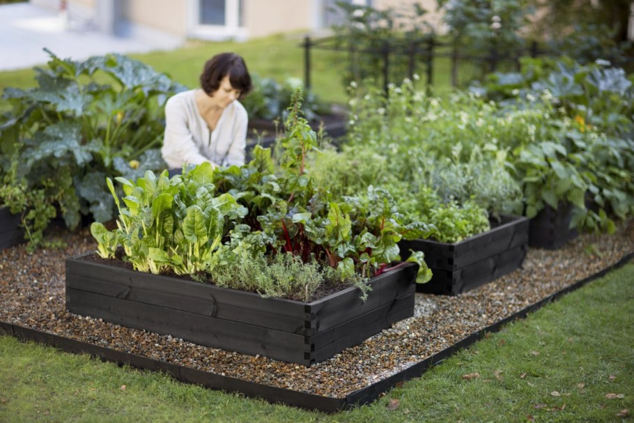 Планировка грядок на огороде 1 сотках