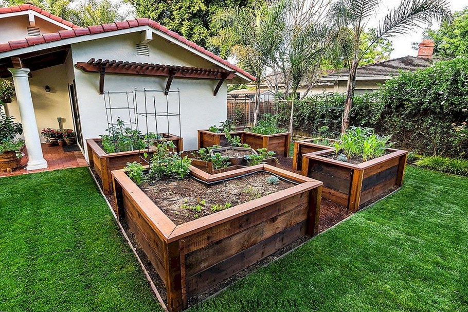 Грядки-клумбы мавританский дворик