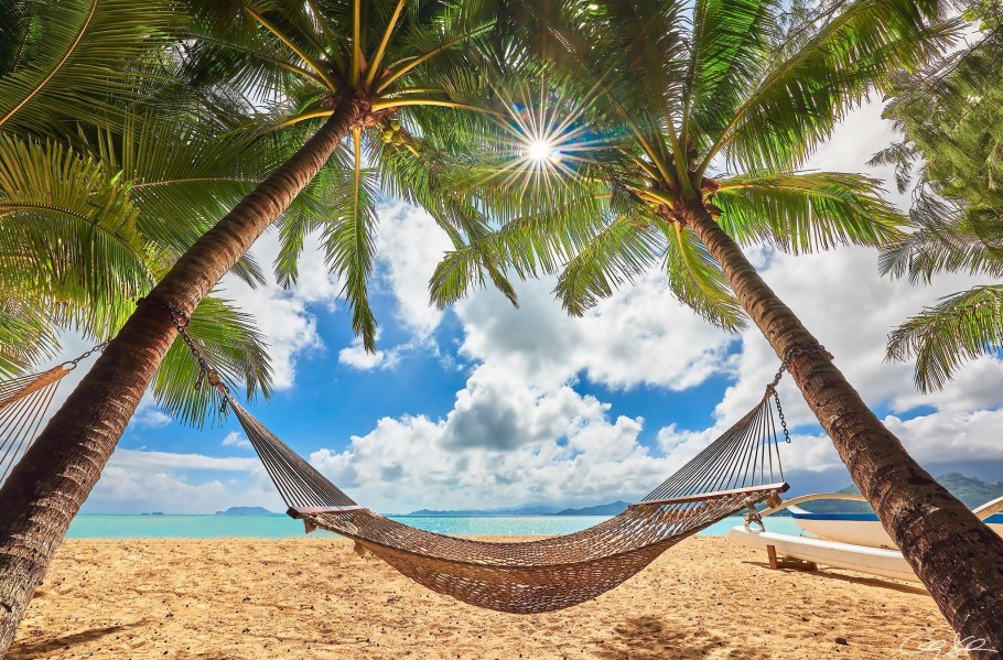 Гамак на Пальме