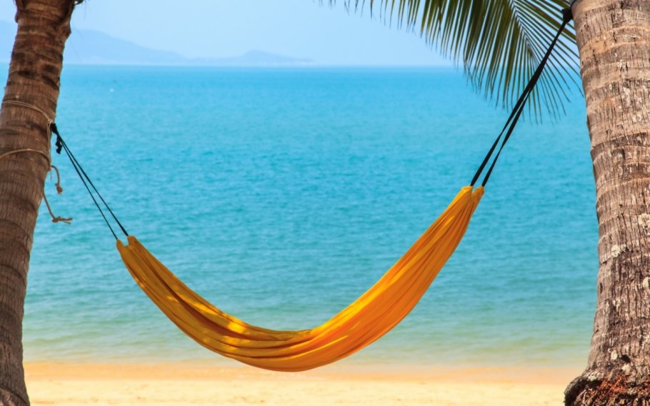 Гамак между пальмами