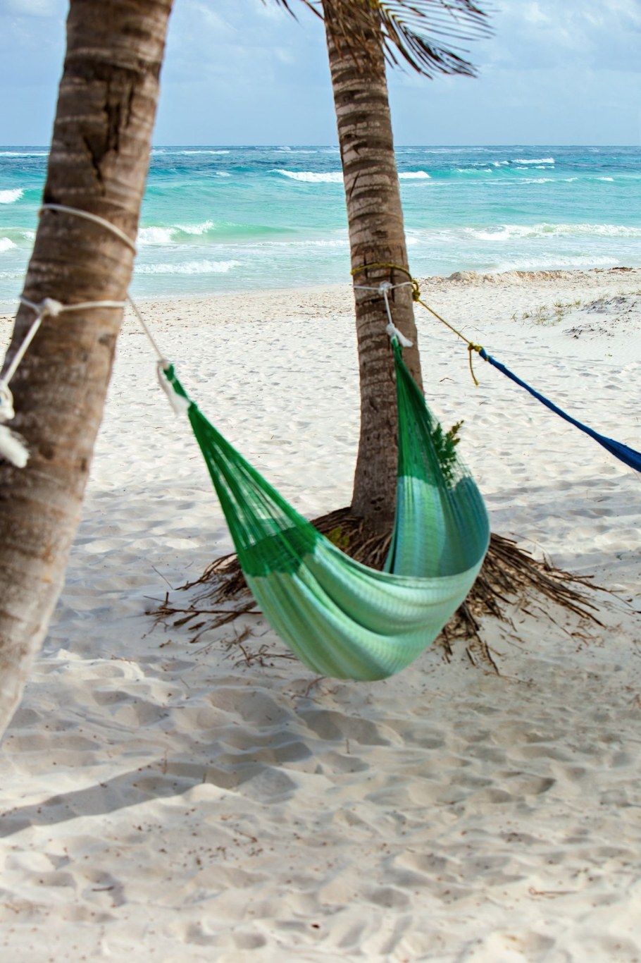 Гамак на Пальме