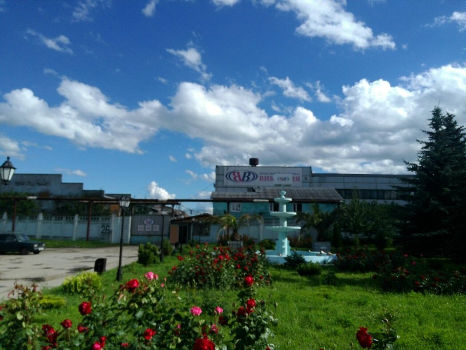 ООО Виктория Ульяновск